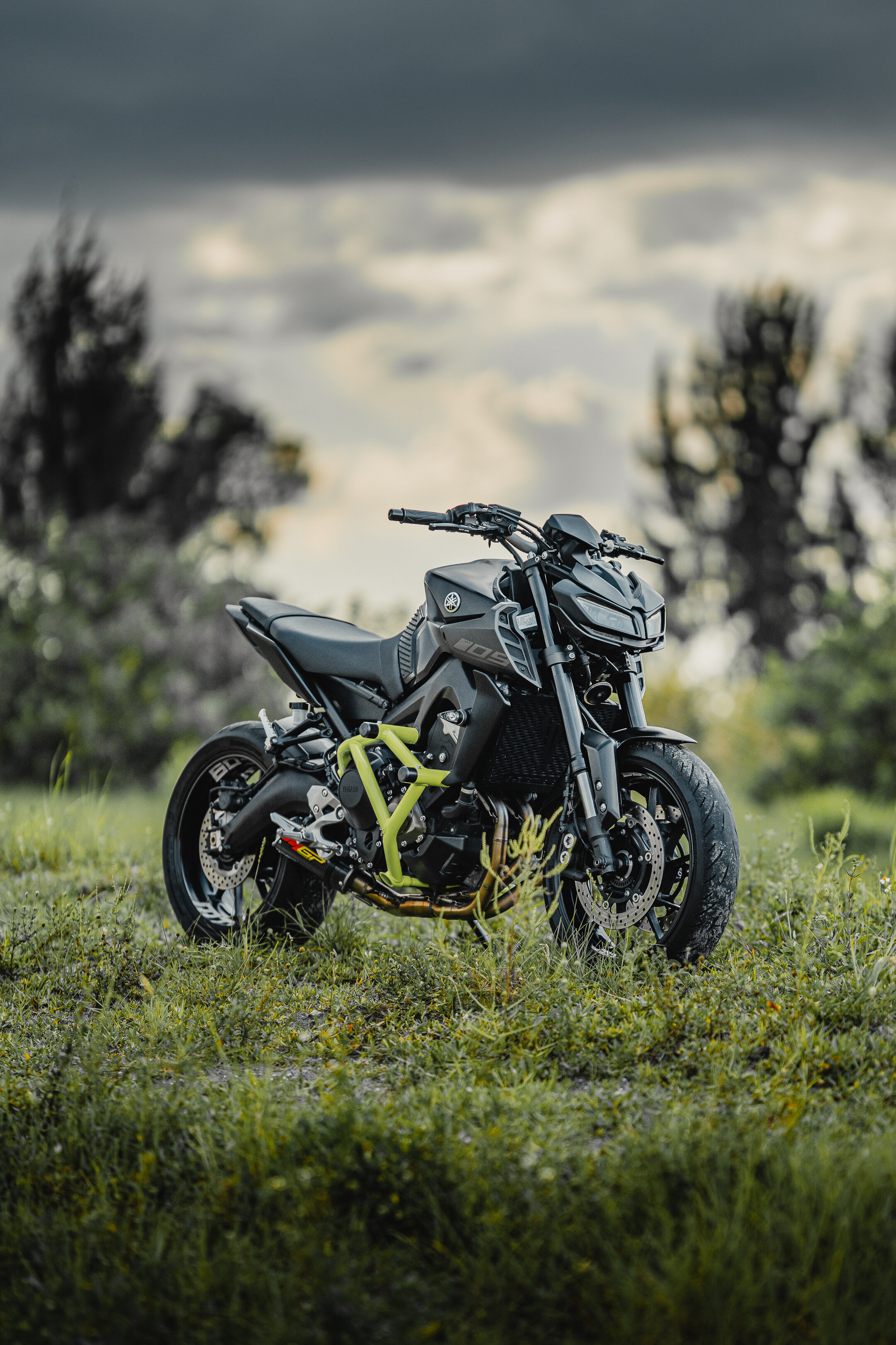 2014-2020 Yamaha FZ-09 MT-09 Impaktech Crash Cage