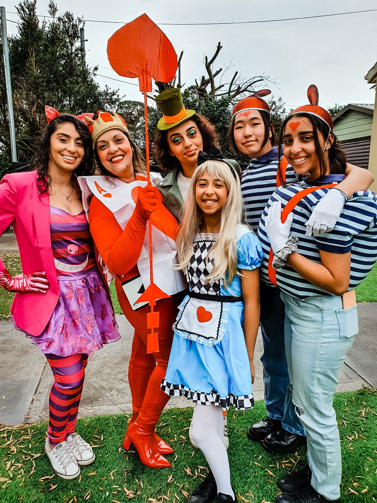 Alice in Wonderland Group Costume