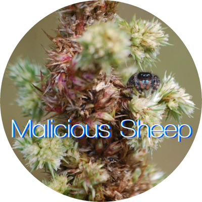 Shop from Malicious Sheep - New Lowell, ON