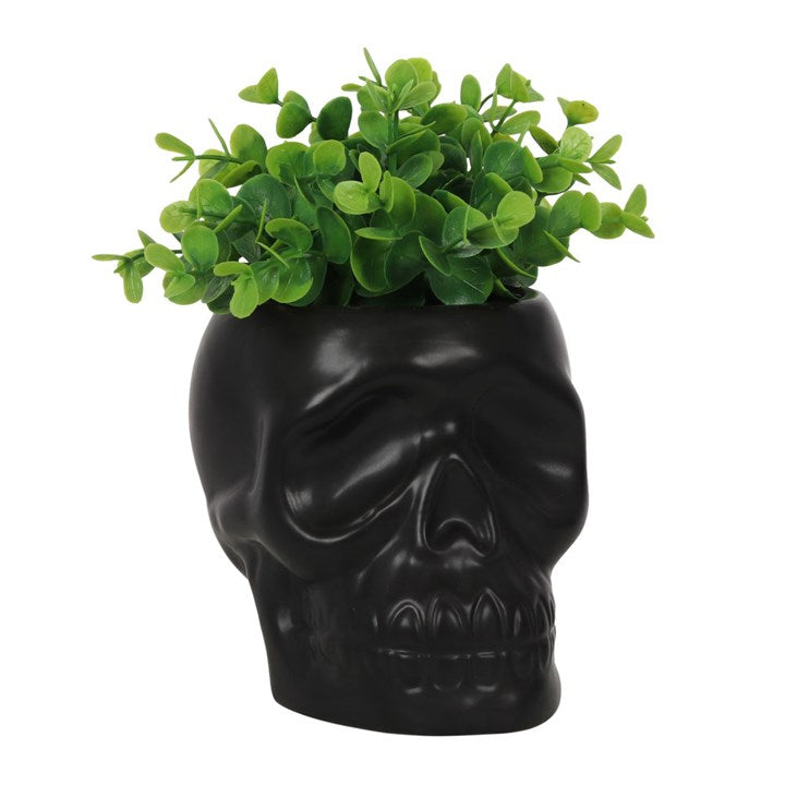 Black Skull Plant Pot logo