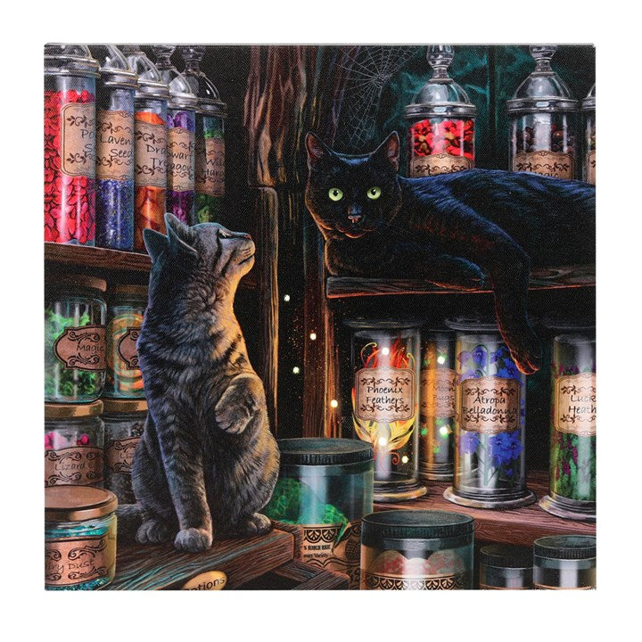 Magical Emporium Light Up Canvas Plaque by Lisa Parker logo