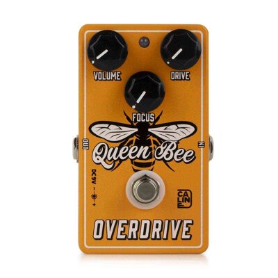 Caline CP-503 Queen Bee Overdrive